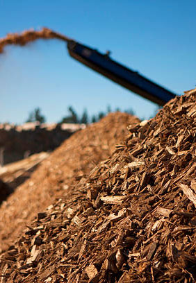 biomass and biofuel plant testing